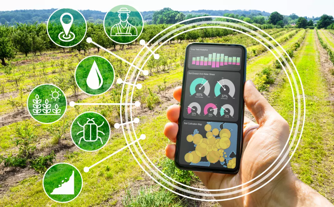 Smart Agriculture: Using Technology to Revolutionize Farming