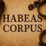 Immigration Habeas Corpus Attorney